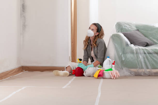 Reliable Mold Testing contractor in Saint Petersburg, FL by WQB Mold Removal